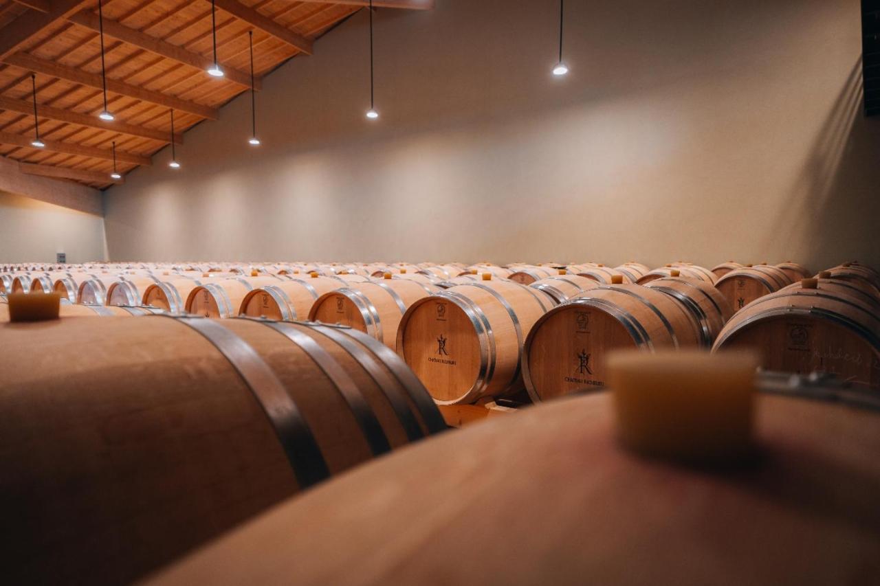 Chateau Richelieu Fronsac  Dış mekan fotoğraf